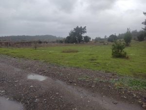 PHOTO-2024-11-08-13-25-10_11