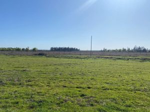 PHOTO-2024-11-08-13-30-41_15