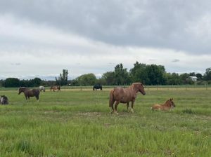 PHOTO-2024-11-08-13-30-41_9