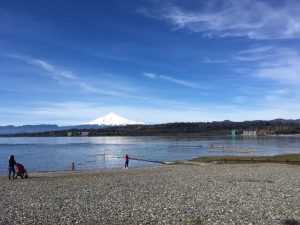 PHOTO-2024-11-08-13-35-16_3