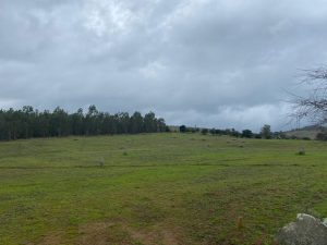 PHOTO-2024-11-08-13-36-03_10